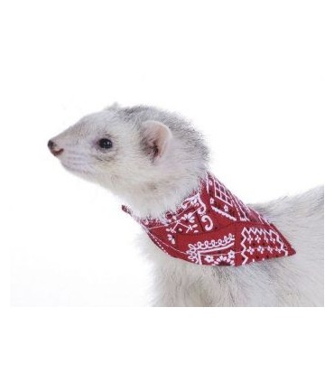 BANDANA ROUGE FURET