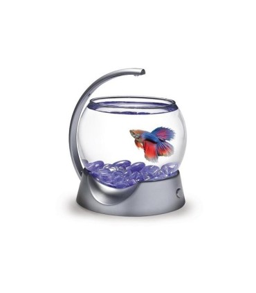 TETRA DESIGN AQUARIUM LED POUR BETTA - 1.8 LITRES