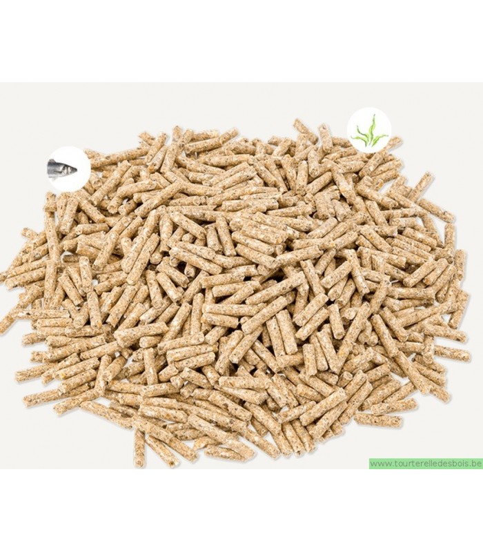 MZ- CRICKET BREEDER - 25KG