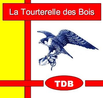 La Tourterelle des Bois